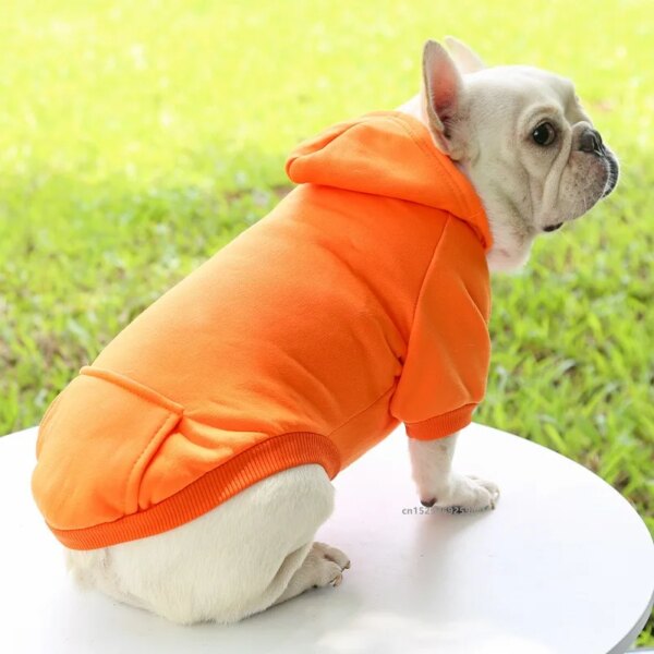 Dog Winter Hooded Sweatshirt – Small & Medium Pets - Image 5