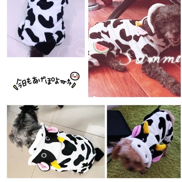 Winter Warm Pet Hoodie - Dinosaur Outfit - Image 3