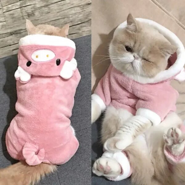 Winter Warm Pet Hoodie - Dinosaur Outfit - Image 5