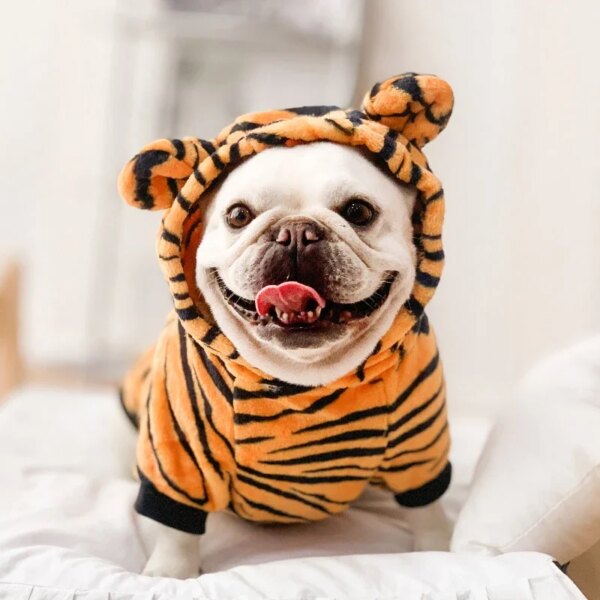 Winter Warm Pet Hoodie - Dinosaur Outfit - Image 4