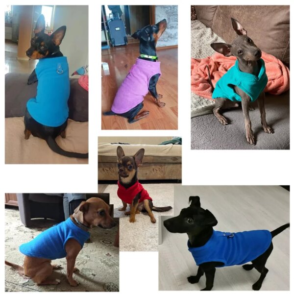 Winter Fleece Dog Jacket for Small Breeds - Image 2