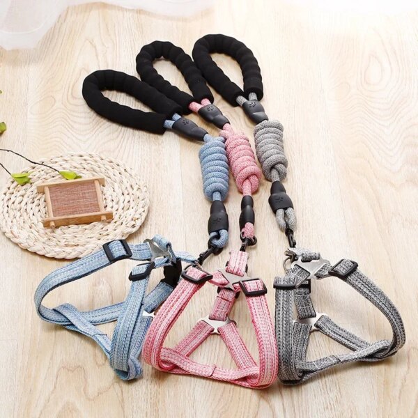 Dog Harness & Leash Set (1.2M) - Image 3