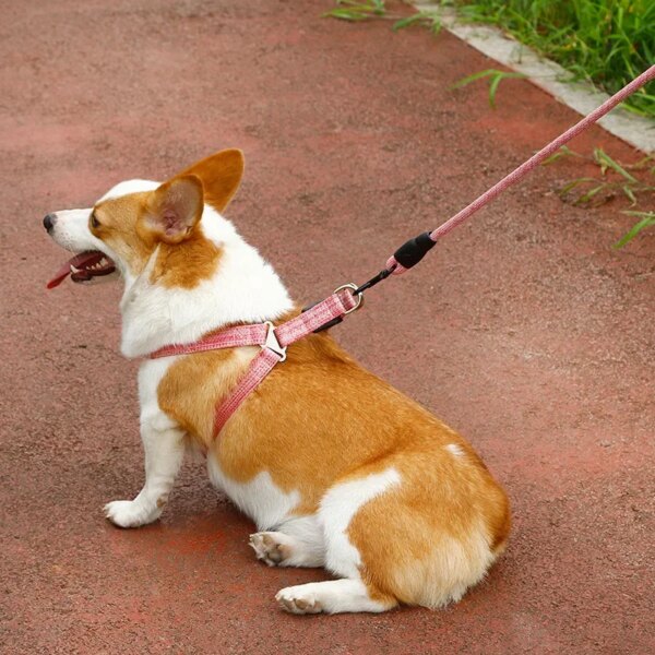Dog Harness & Leash Set (1.2M) - Image 2