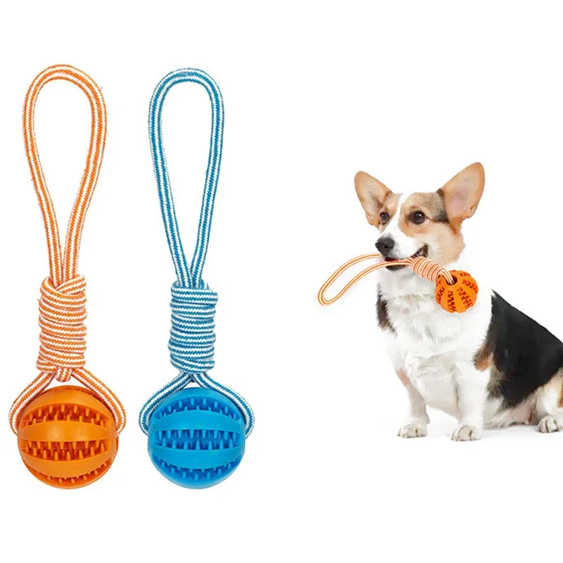 Dog Leaking Food Ball with Rope Interactive Dog Toy Rubber Balls for Small Large Dogs Chewing Bite Resistant Toys Pet Supplies Dog Leaking Food Ball with Rope Interactive Dog Toy Rubber Balls for Small Large Dogs Chewing Bite Resistant Toys Pet Supplies