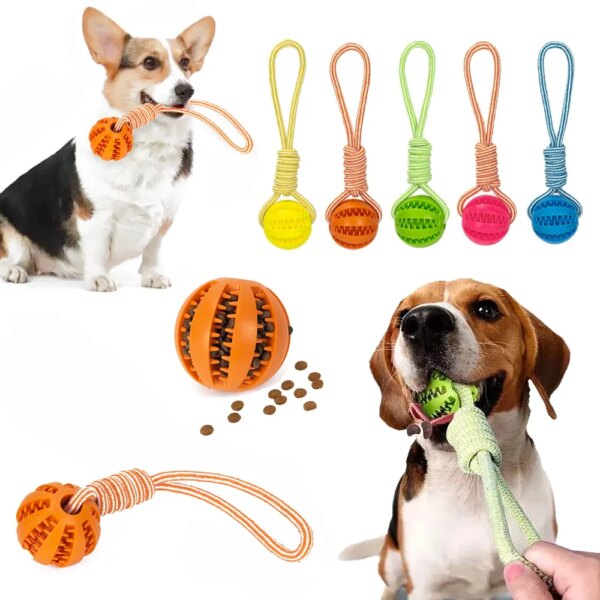 Interactive Dog Food Ball with Rope