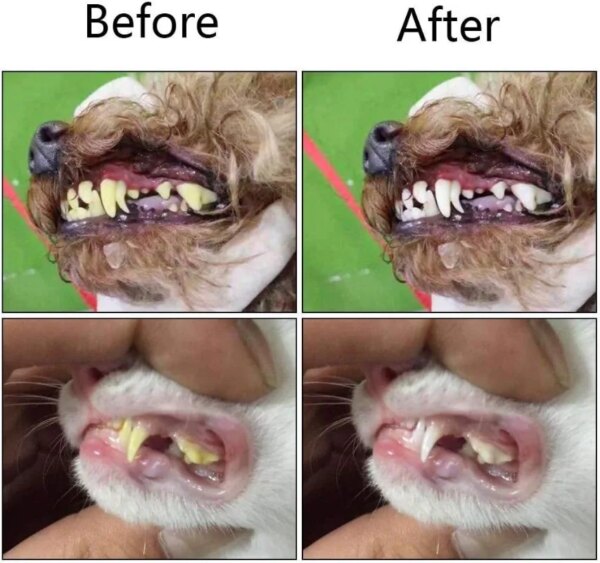 Silicone Pet Finger Toothbrush - Image 5