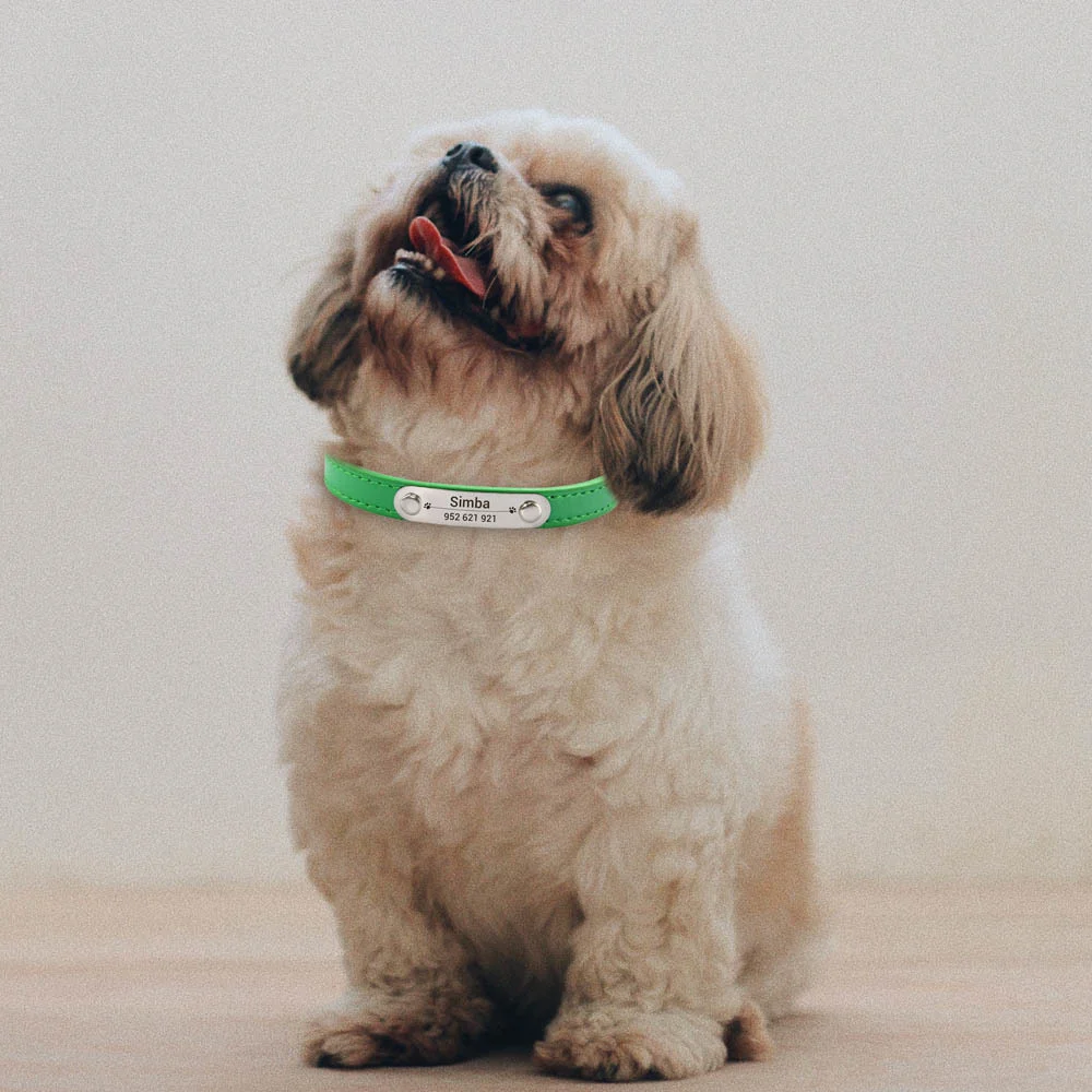 Personalized Dog Collar Name Carved ID Anti-lost Solid PU Leather Collar For Small Medium Large Dogs Puppy Cat Pet Supplies Pink Personalized Dog Collar Name Carved ID Anti-lost Solid PU Leather Collar For Small Medium Large Dogs Puppy Cat Pet Supplies Pink