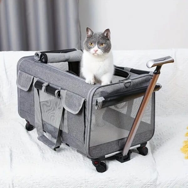 Extra large portable pet trolley case for convenient travel.