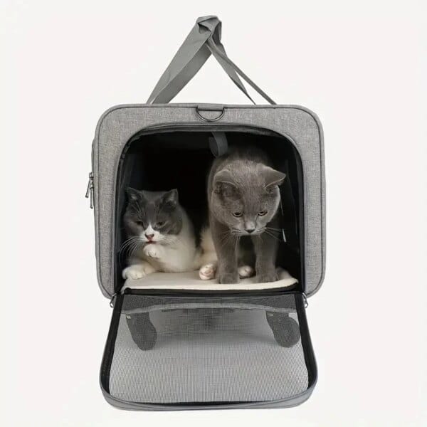 Extra large portable pet trolley case for convenient travel. - Image 2