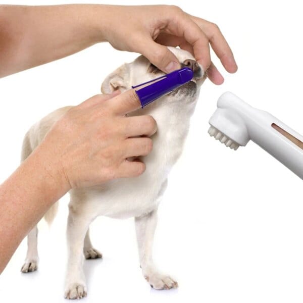 Pets Tartar Control Kit for Dogs Contains Toothpaste Toothbrush and Fingerbrush 4-Piece Dental Care - Image 4